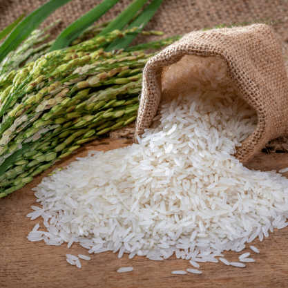 Rice